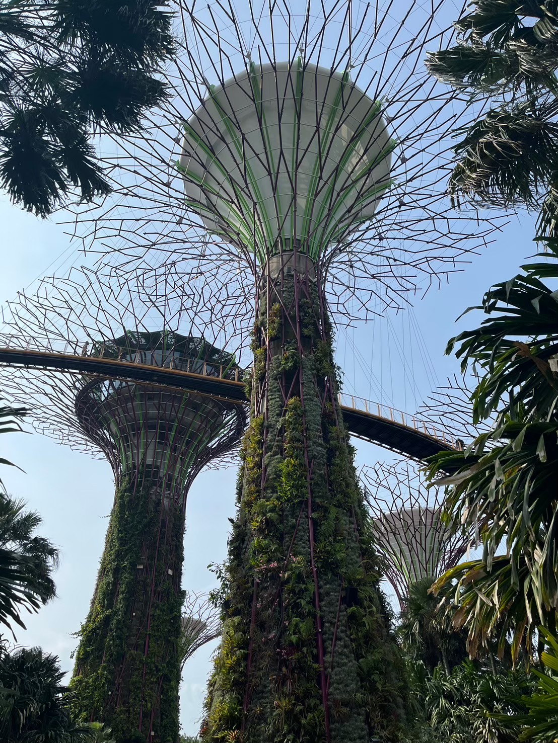 ガーデンズ・バイ・ザ・ベイ