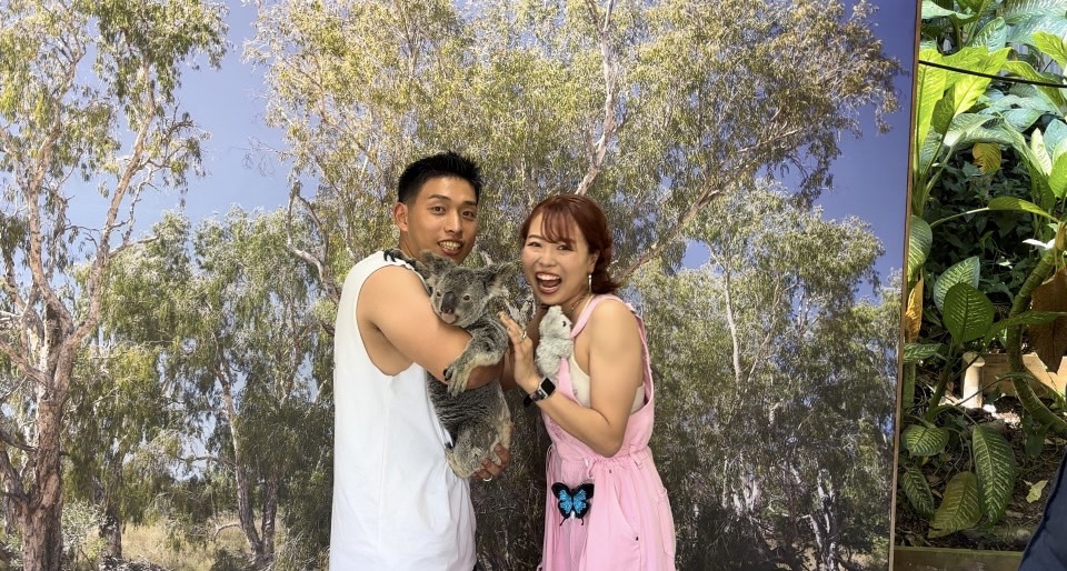 コアラを抱っこしました！