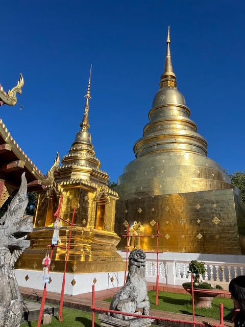 ワットプラシン