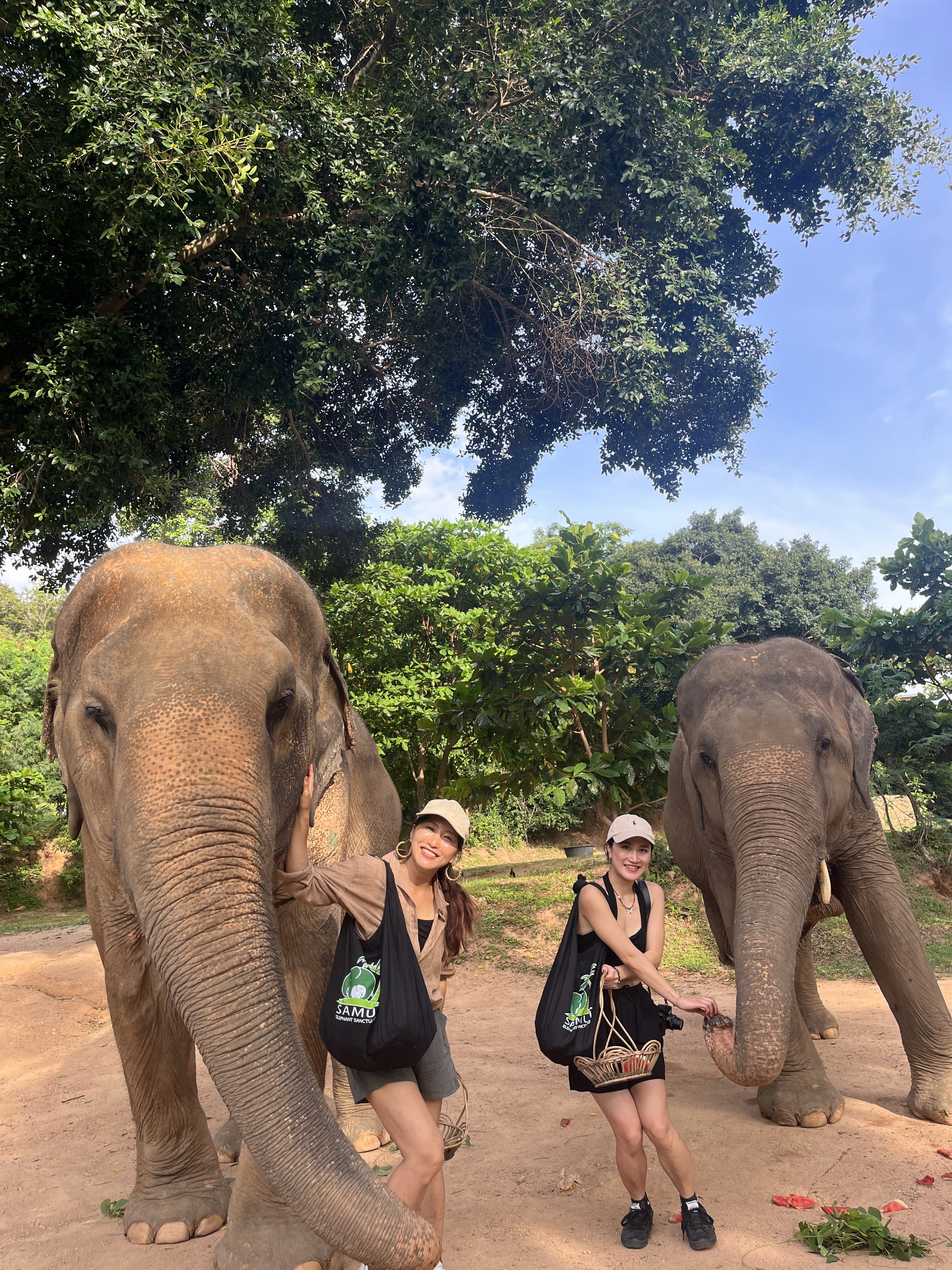 Elephant Sanctuary Koh Samui