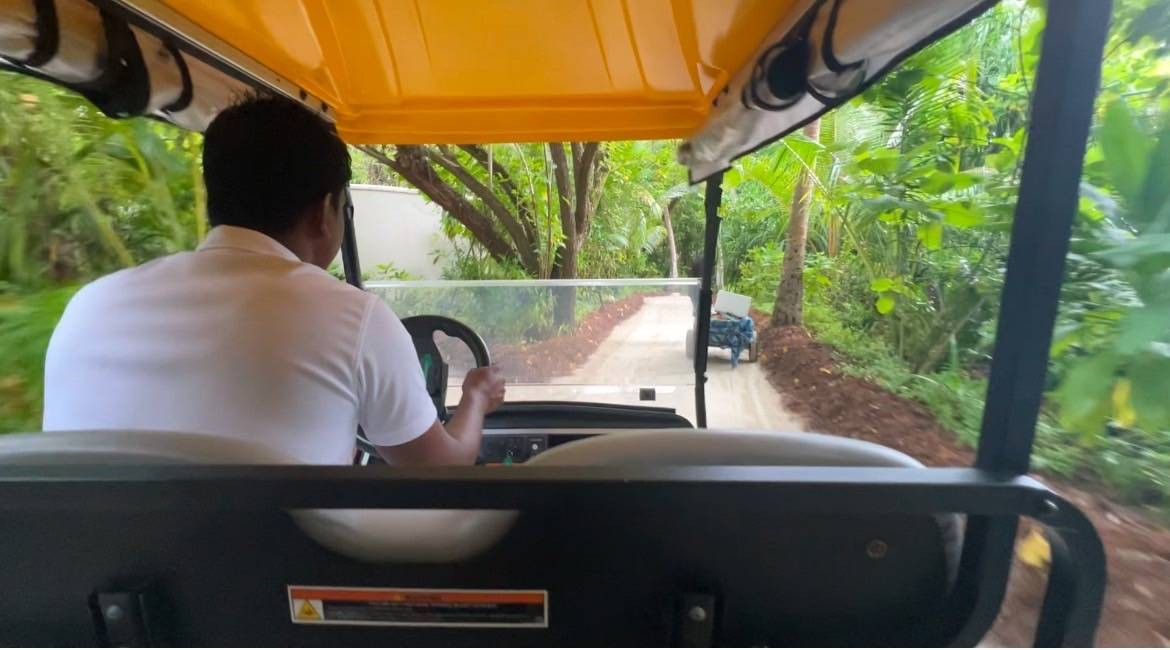 島内は広いため、バギーで移動