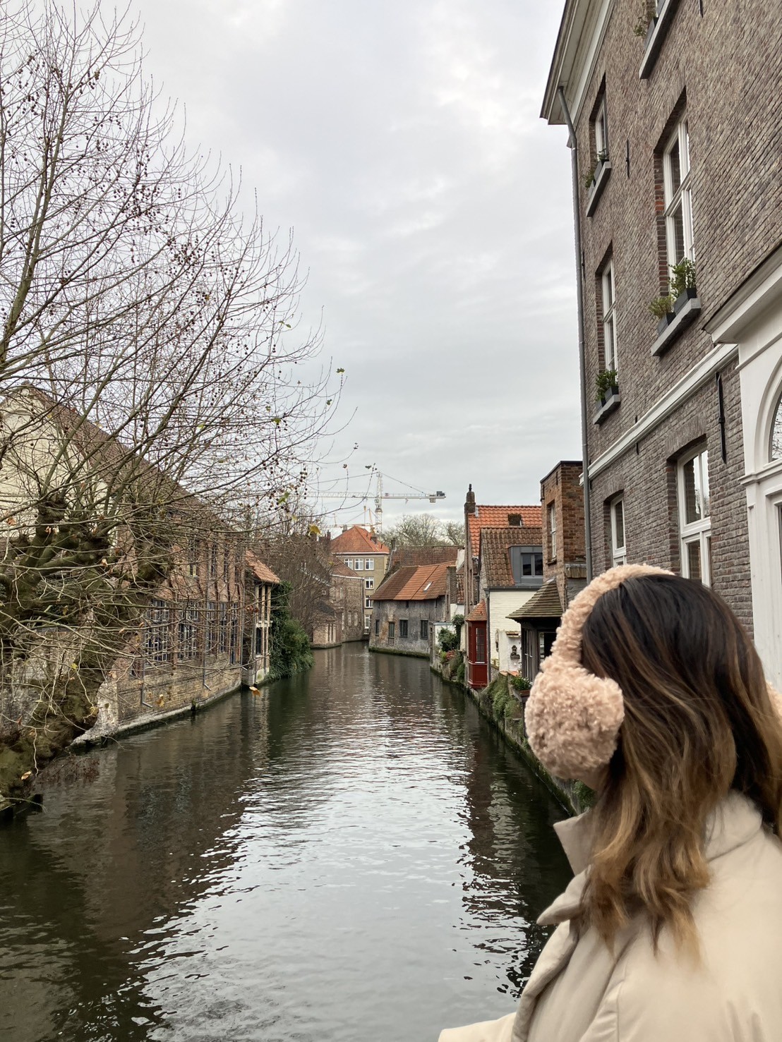 趣のある風景が見ブルージュの街並み