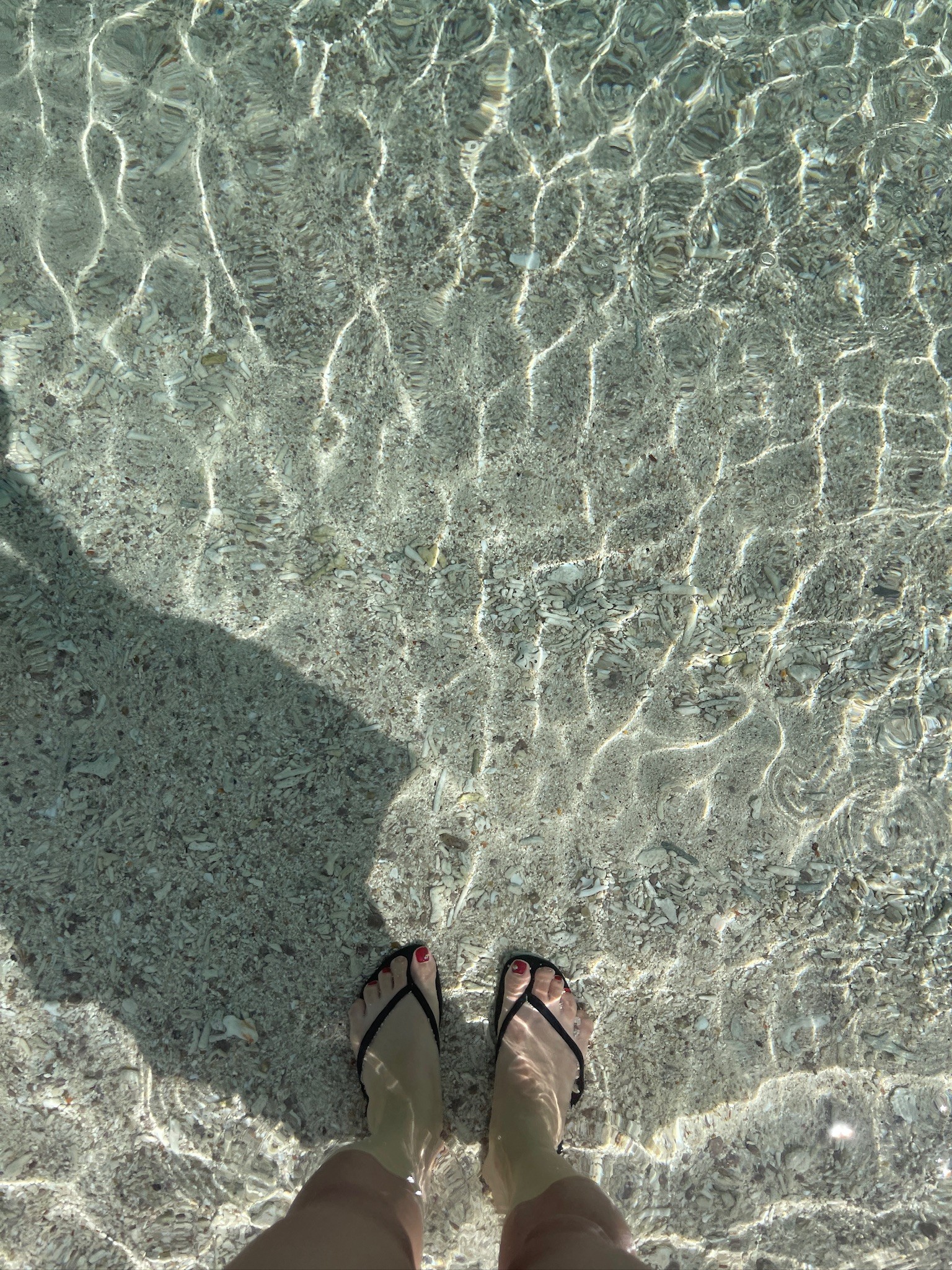 透明すぎる海！