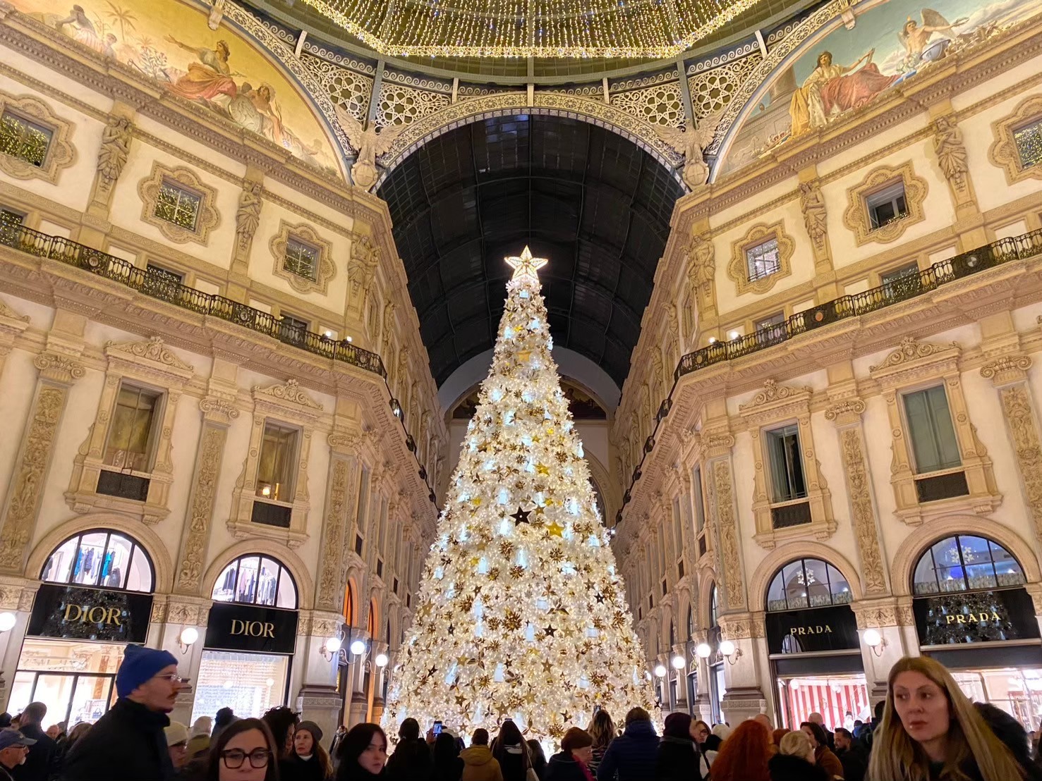 ミラノガレリアのディオールのツリー