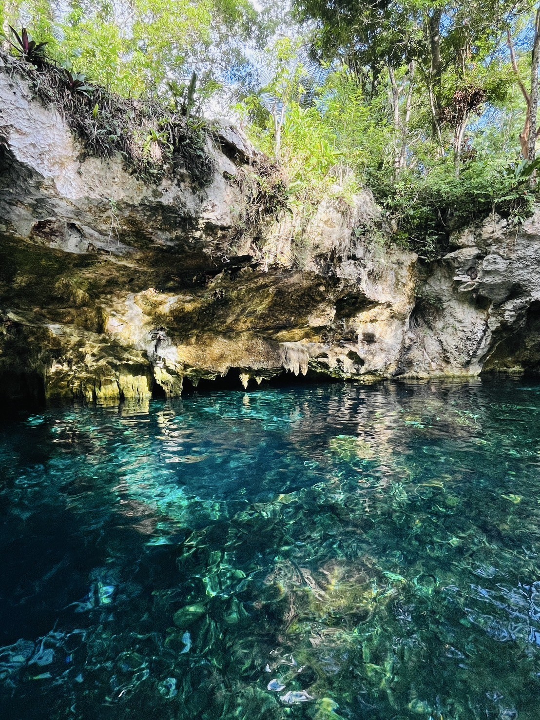 グランセノーテ