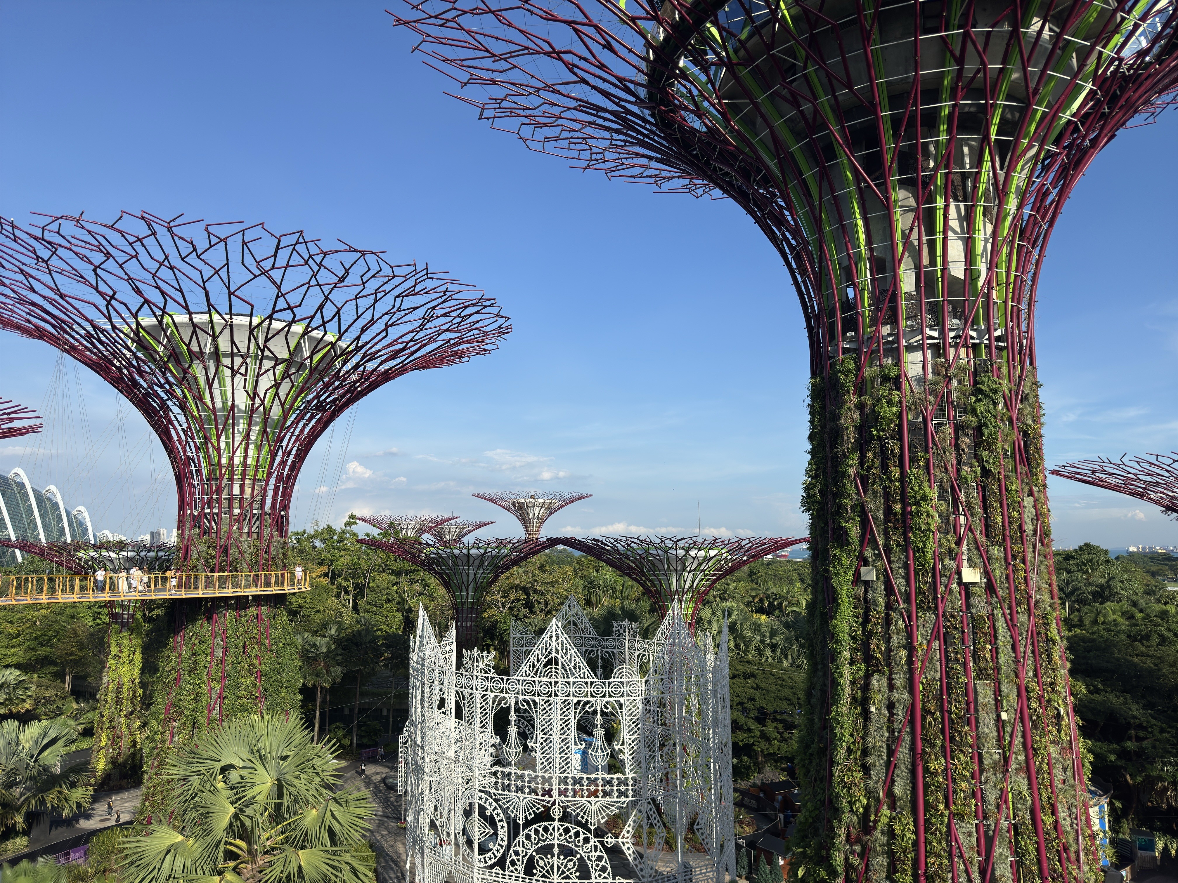 ガーデンズバイザベイ。展望台からの景色は綺麗でした！