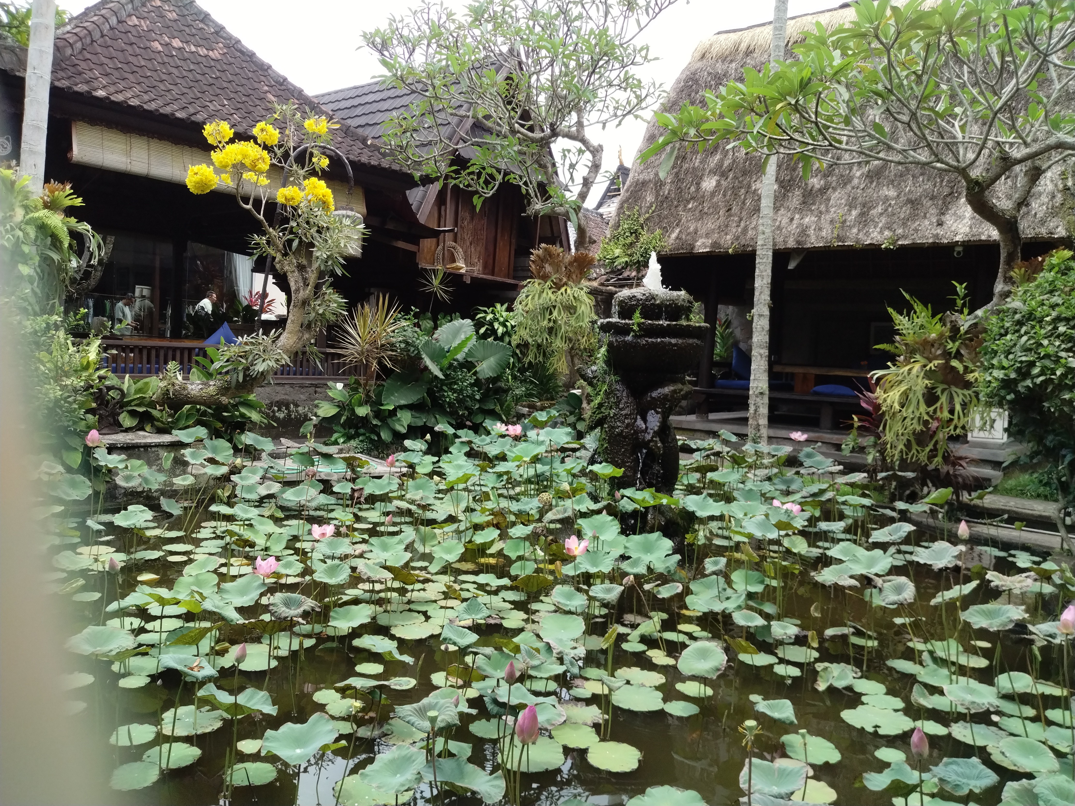 ランチはガイドさんお薦めのレストラン「べべ・ブルギル」へ