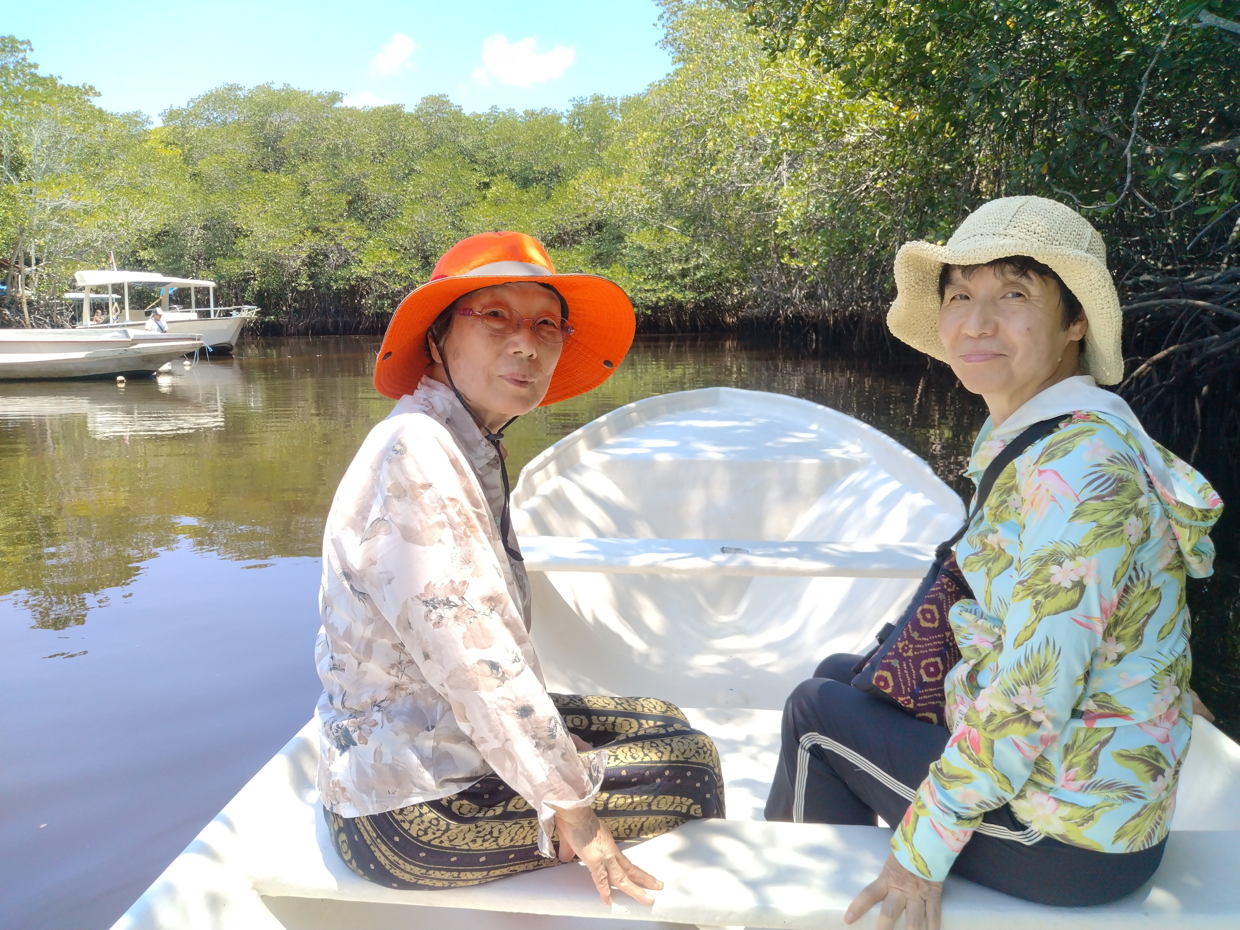 マングローブの森をボートで遊覧