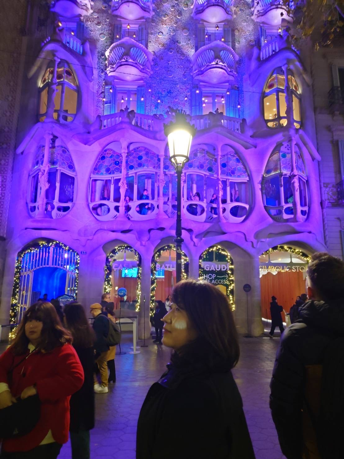 華やかにライトアップされたカサ・バトリョ