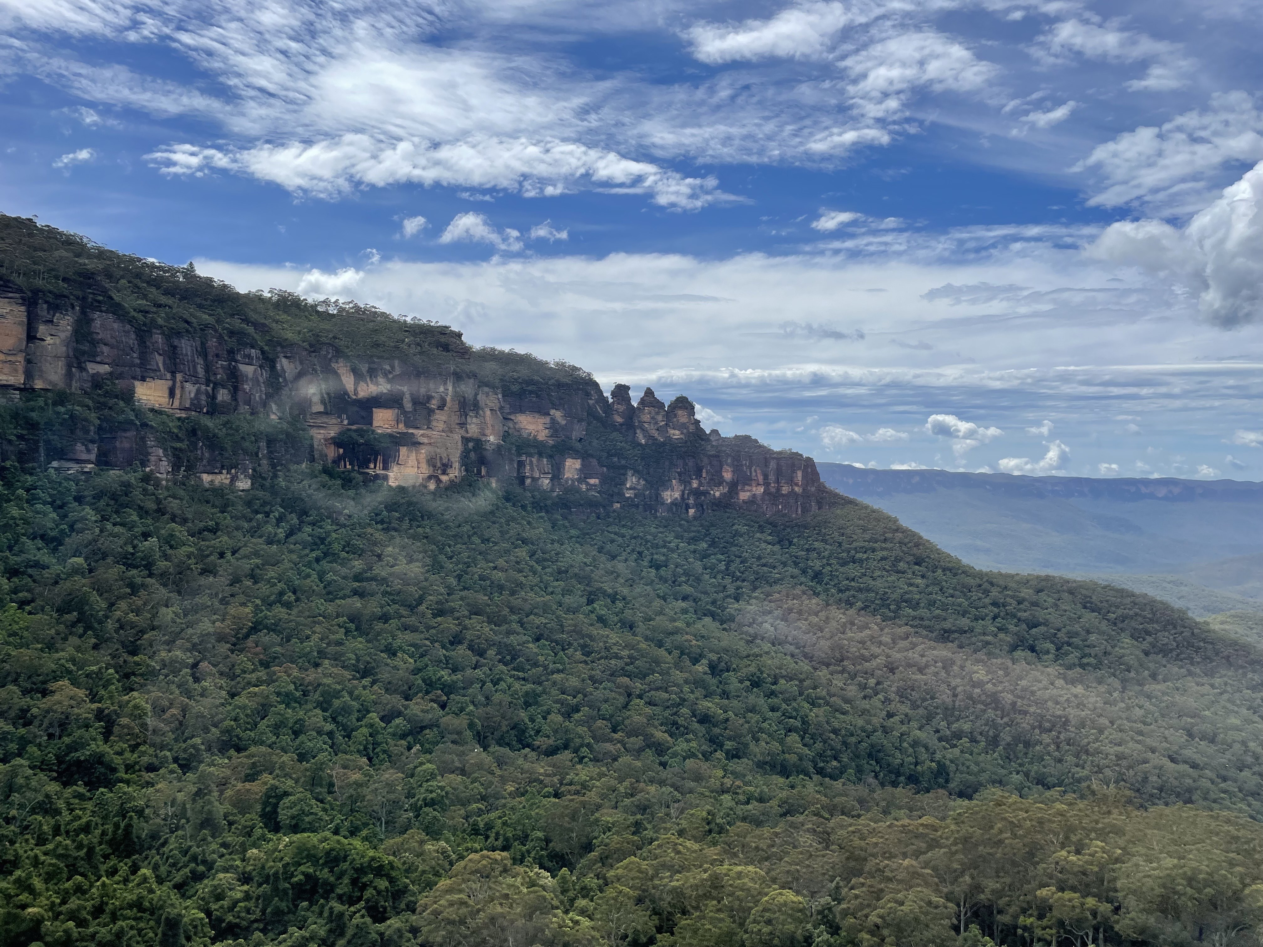 ブルーマウンテン