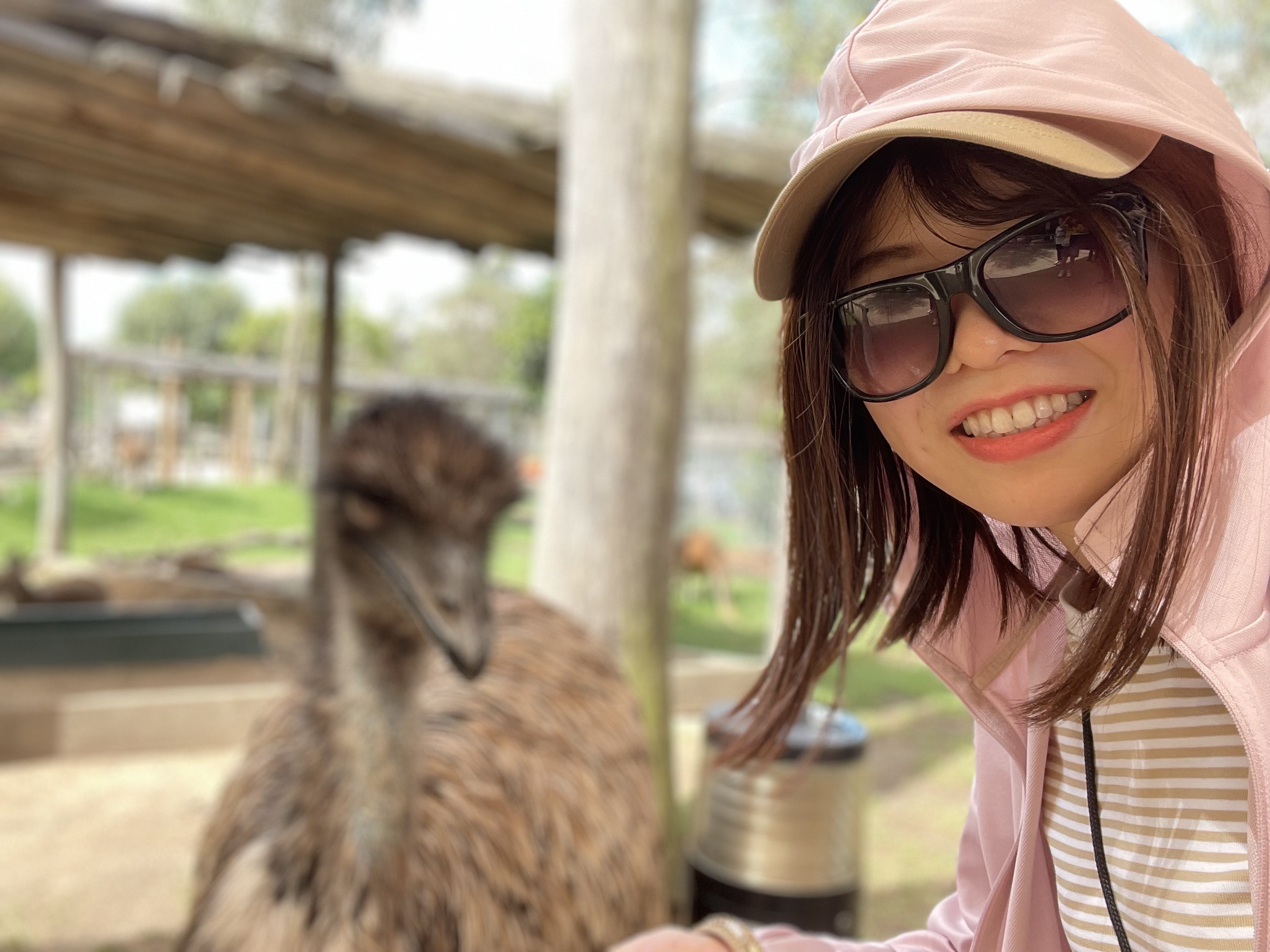 カンガルーやエミューに餌をあげたりもしました