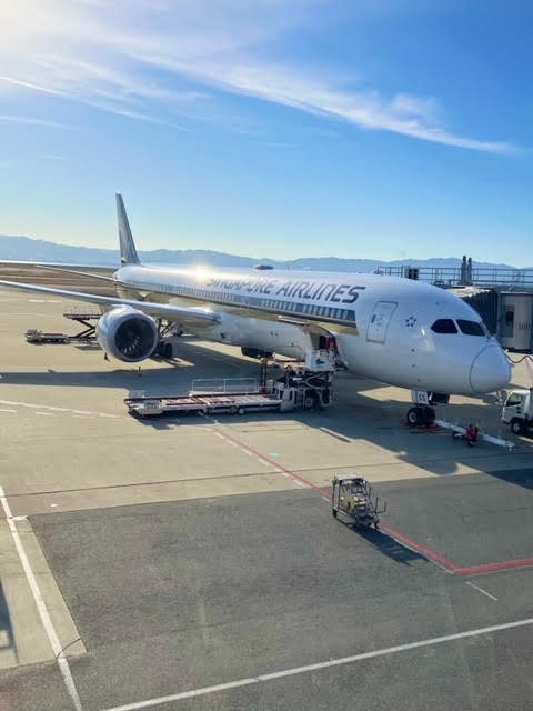 シンガポール航空機