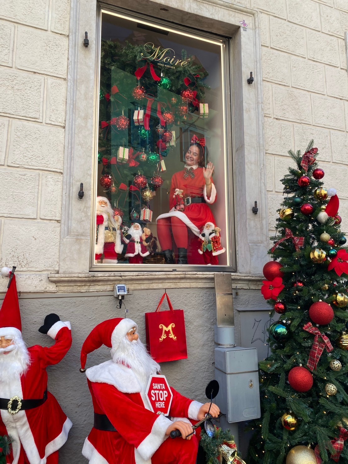 ボルツァーノ 本気のショーウィンドウ