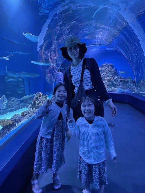 ケアンズ水族館