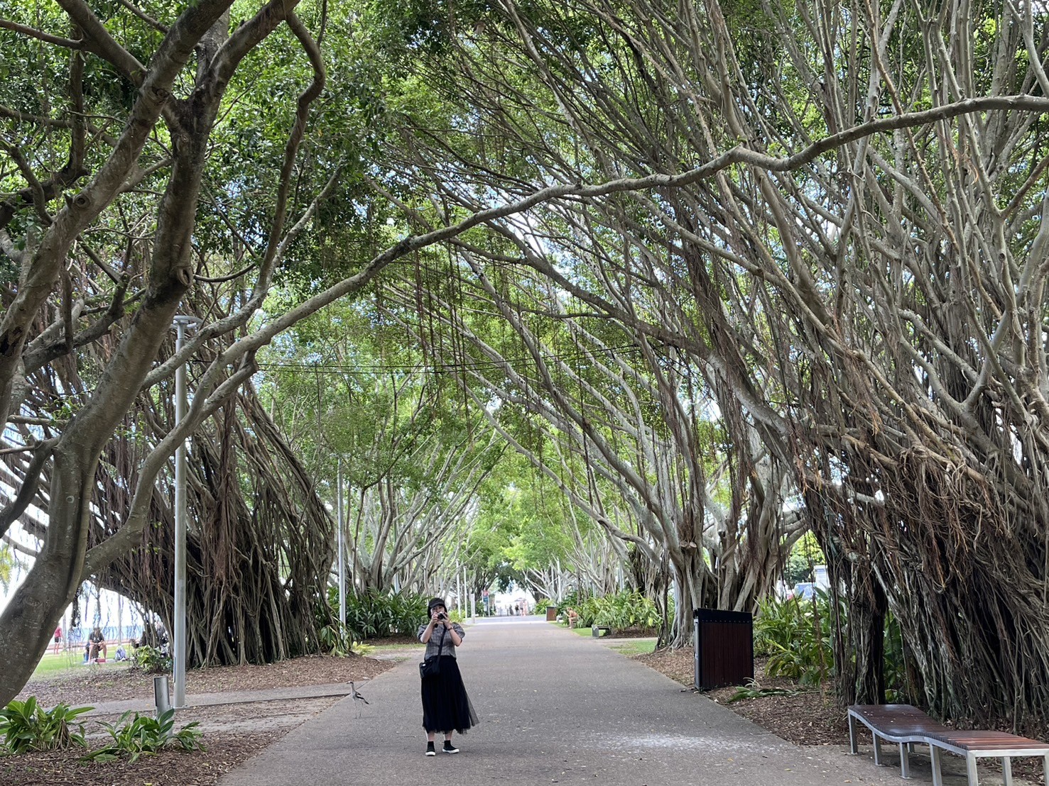 ラグーンのすぐ近くのエスプラネード遊歩道