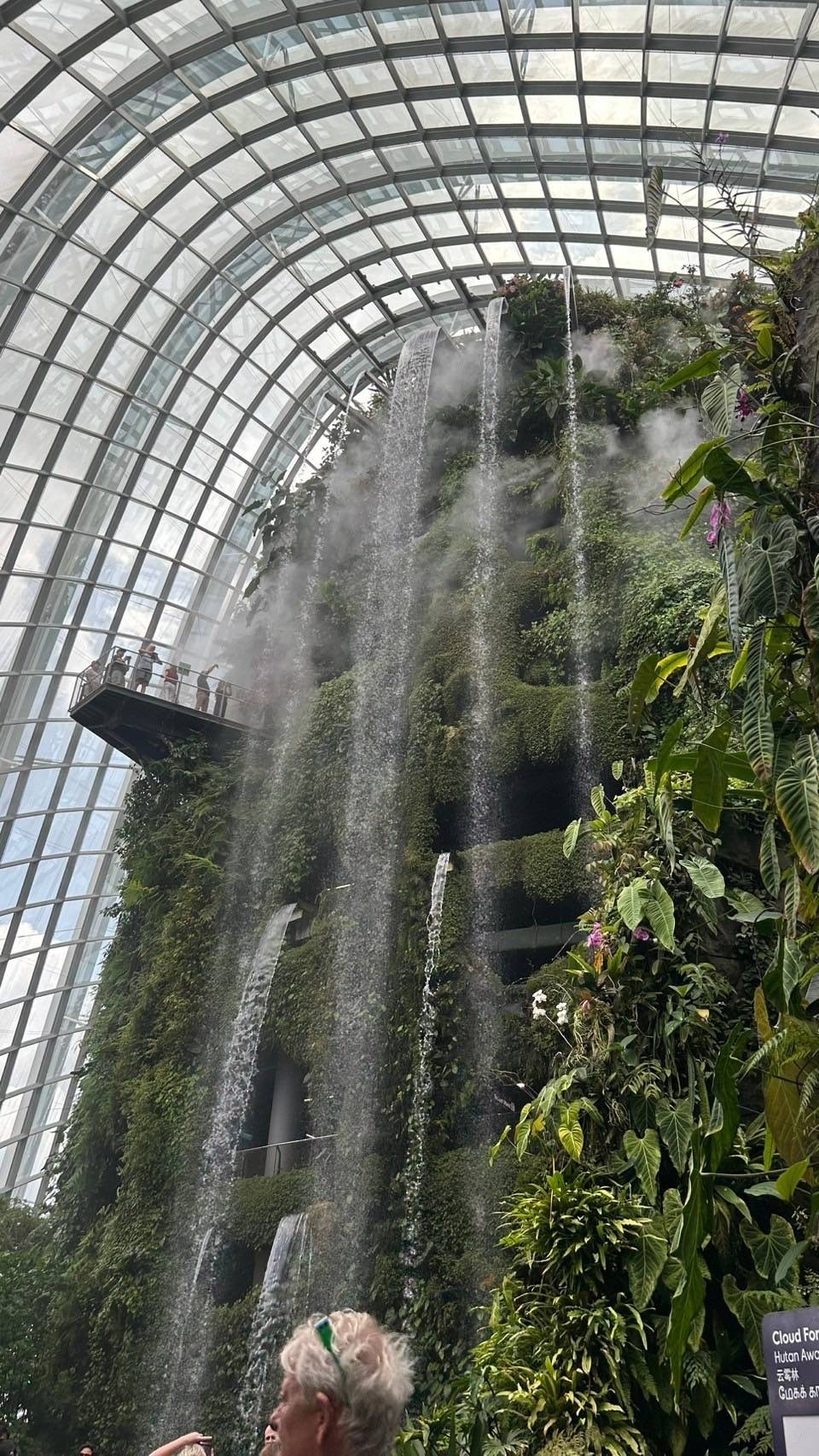 クラウドフォレストにある大迫力の滝