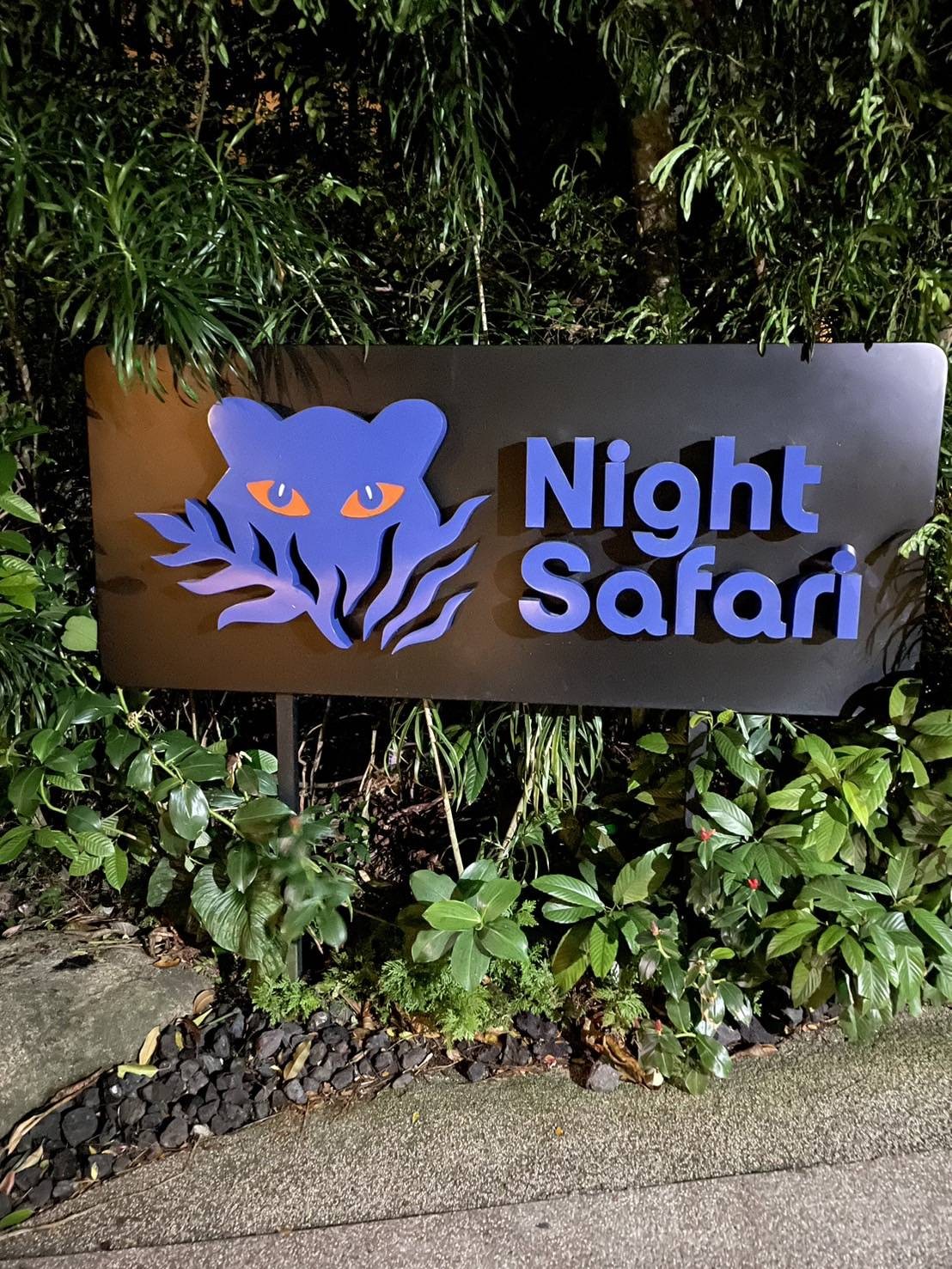 ナイトサファリ