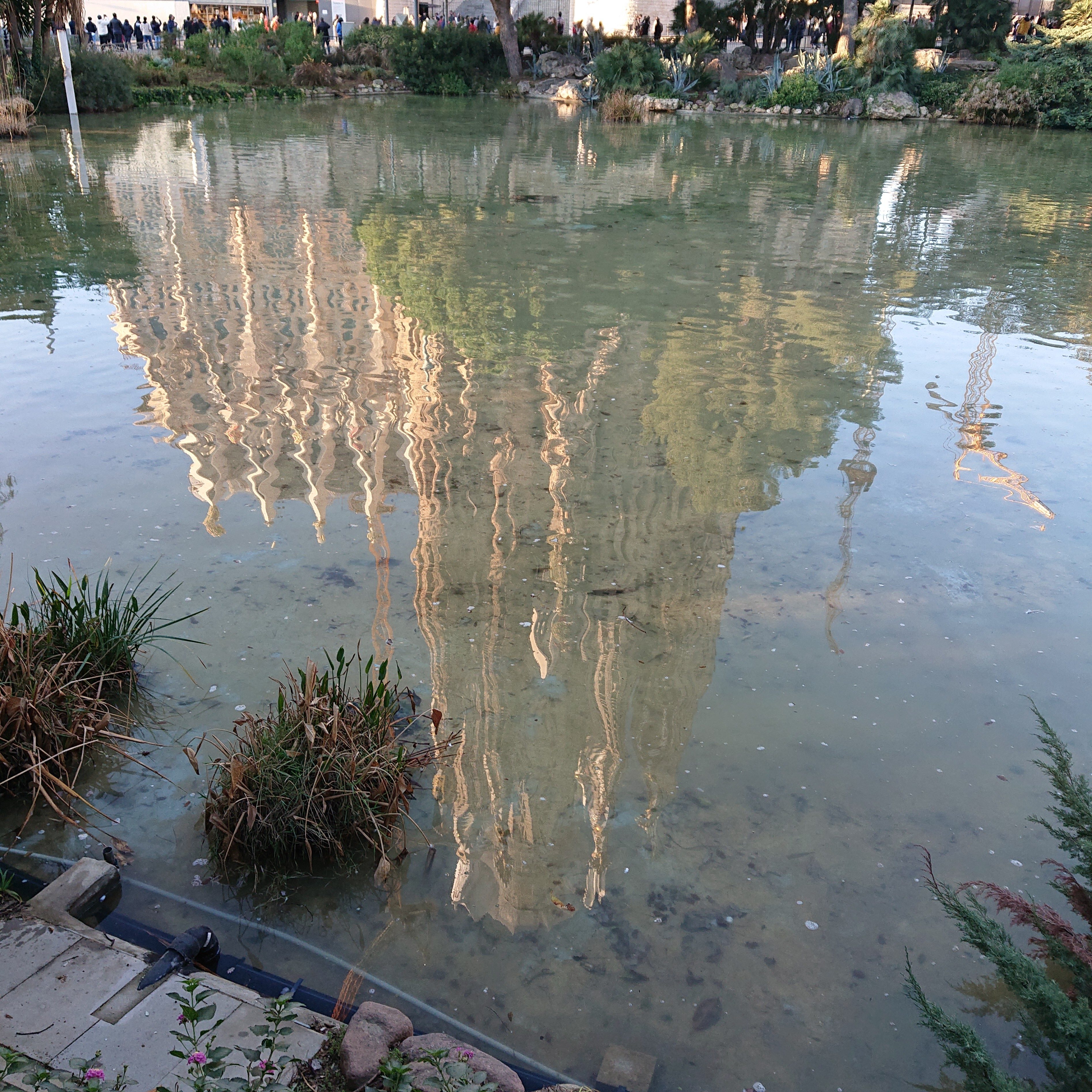 池に映るサグラダファミリア