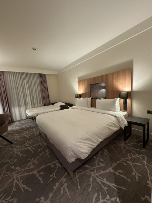 ラディソン ブル ホテル パリ マルヌ ラ バレ