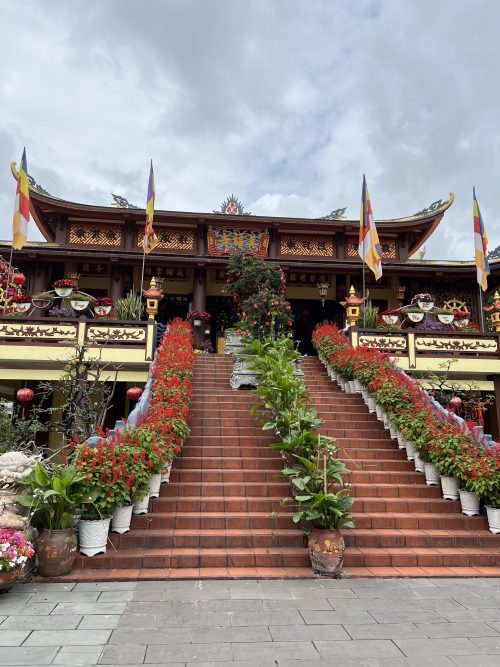 菊の花が見事でした！