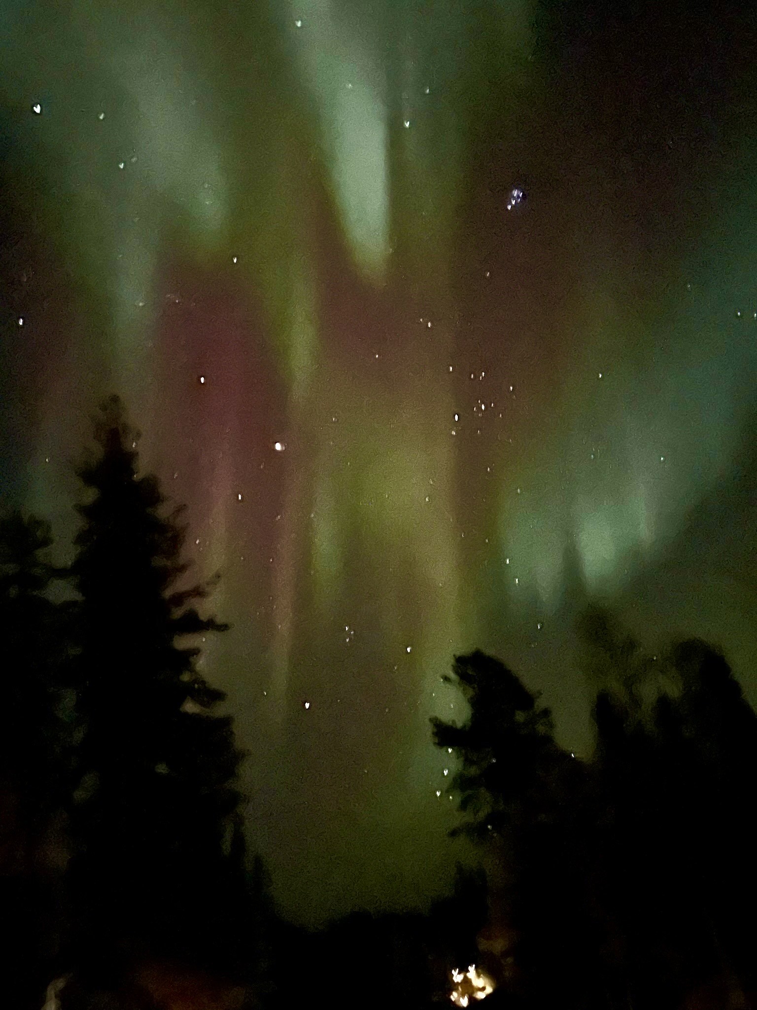 初日から早速レベル４のオーロラが見れました！