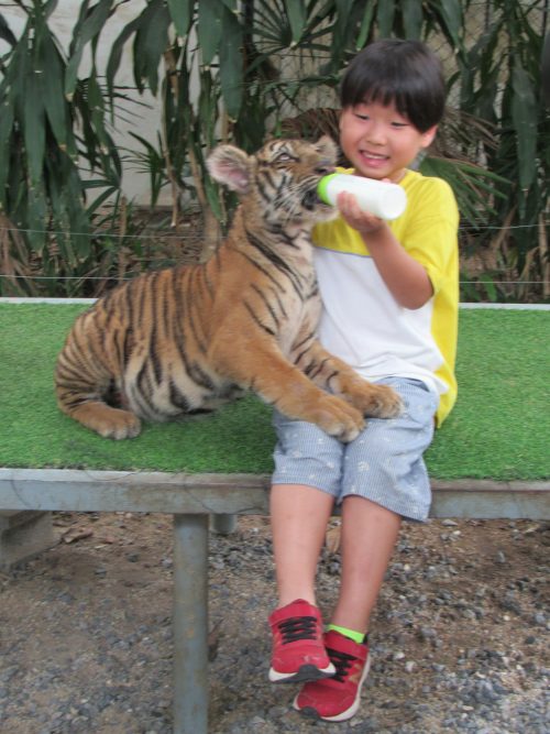 ミルクをあげている様子