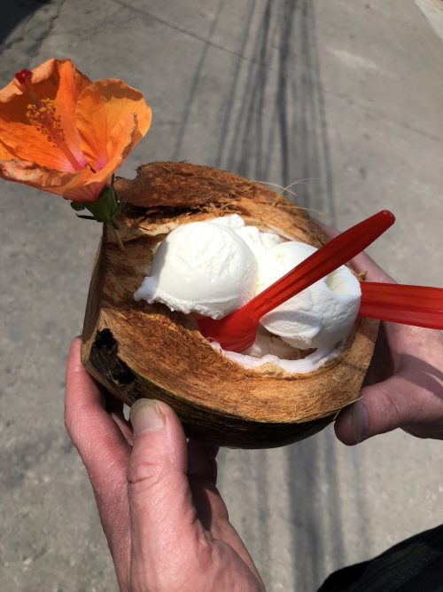 ココナッツアイス