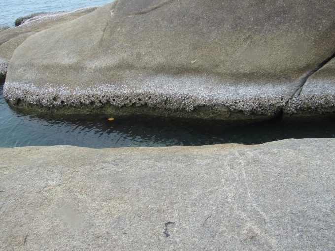 ヒンタ・ヒンヤイ