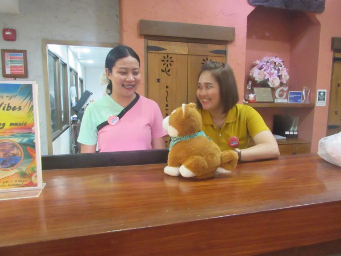 しゃべる犬 こう太