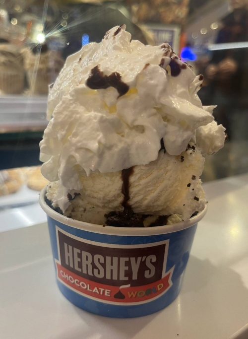 山盛りのハーシーズのアイス