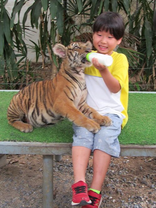 サムイ島イメージ