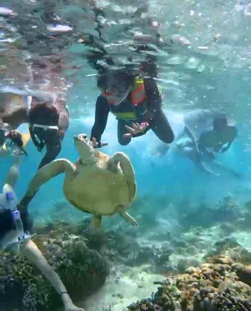 ずっと憧れていたギリ島へ！数年越しの夢が叶ったギリ島＆バリ島の旅