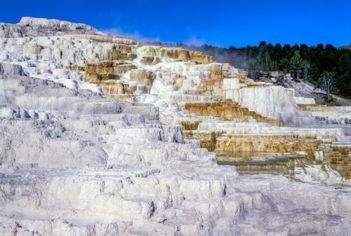 イエローストーン