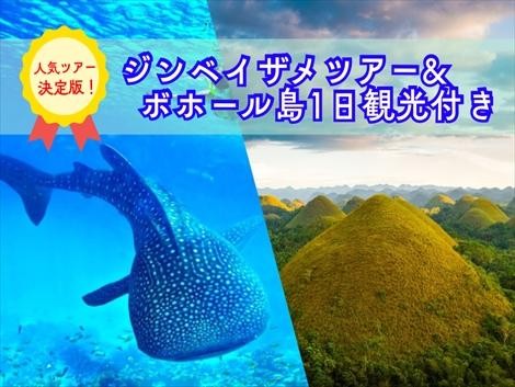 【人気ツアー決定版】ジンベイザメツアー＆ボホール島1日観光付きセブ島