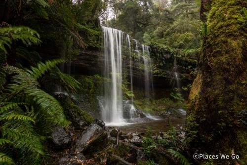 マウントフィールド