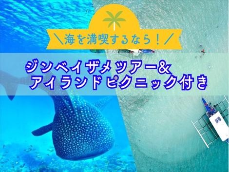 【海を満喫】ジンベイザメツアー＆アイランドピクニック付きセブ島