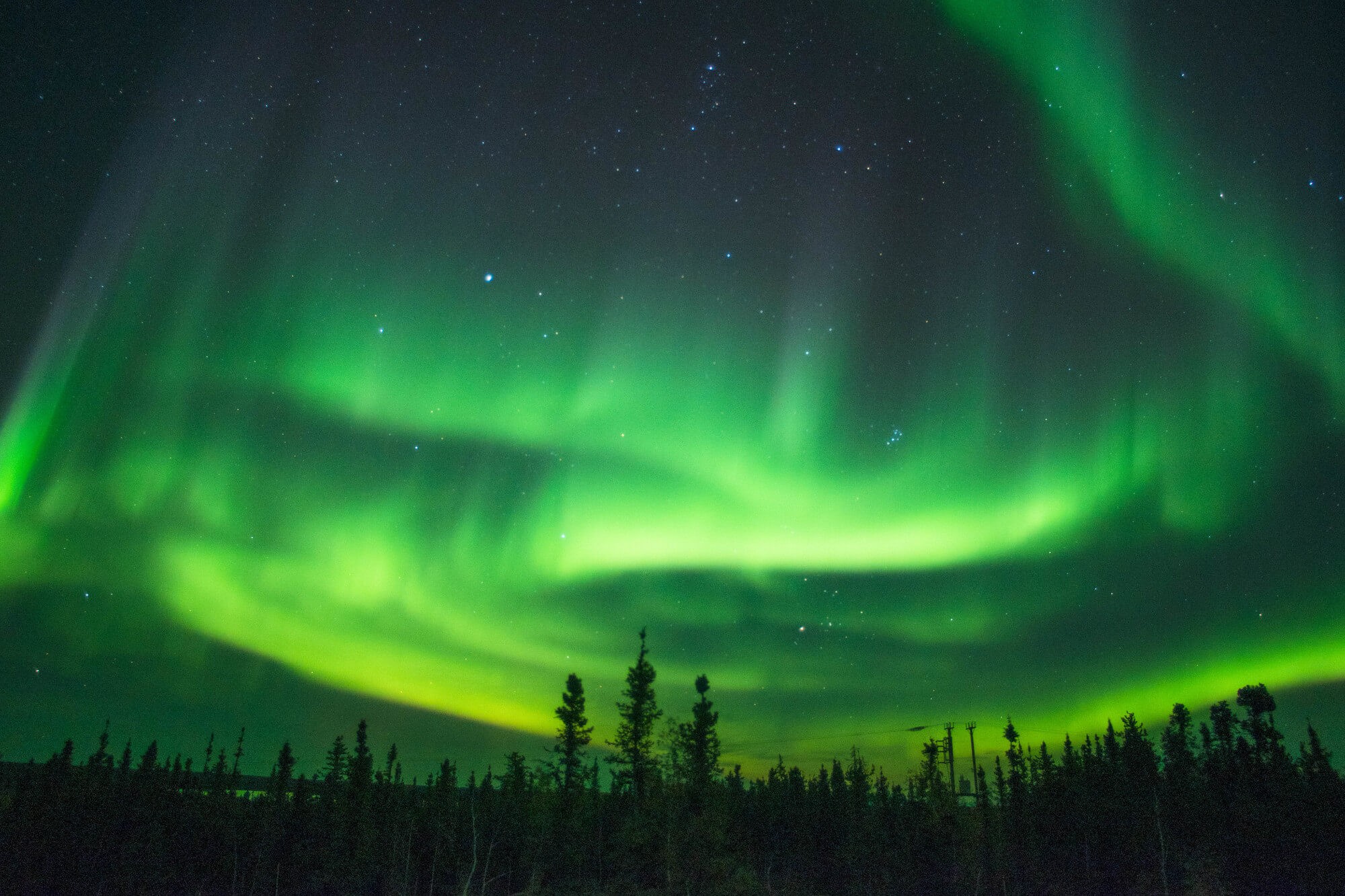 森林の中のオーロラ