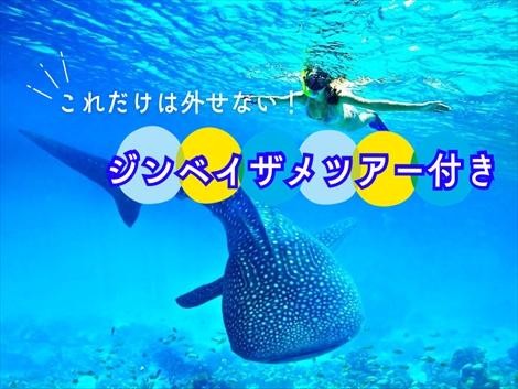 ジンベイザメ付きセブ島