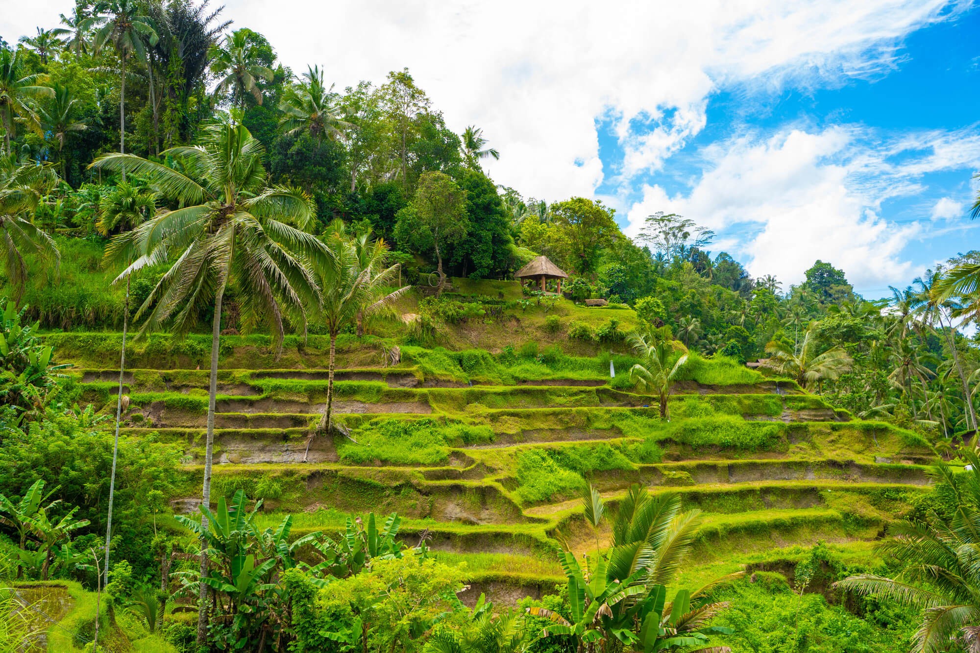 テガラランライステラス