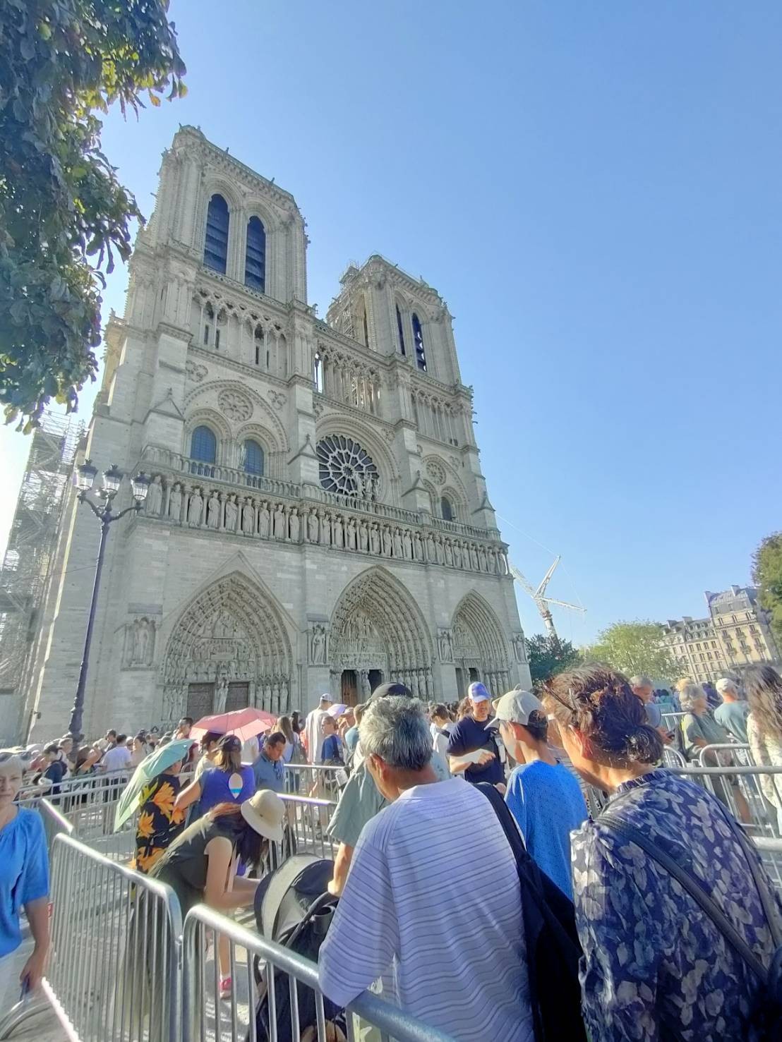 ノートルダム寺院