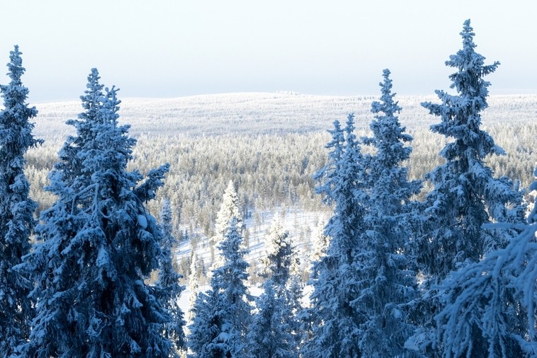 フィンランドでオーロラを見る費用はいくら？旅行予算とツアー比較