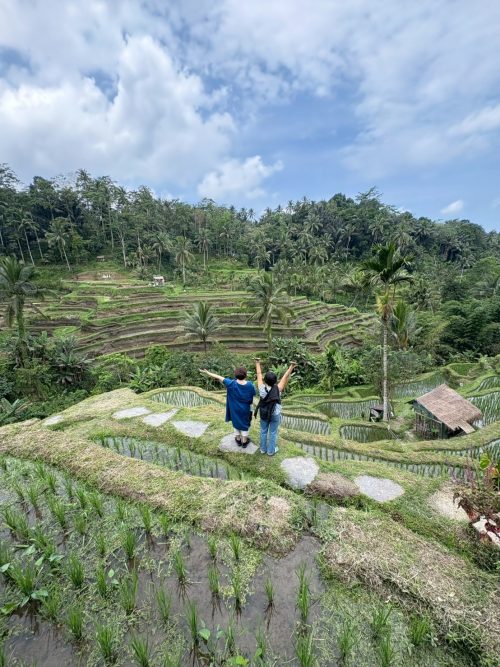 棚田（ライステラス）の壮大なスケール