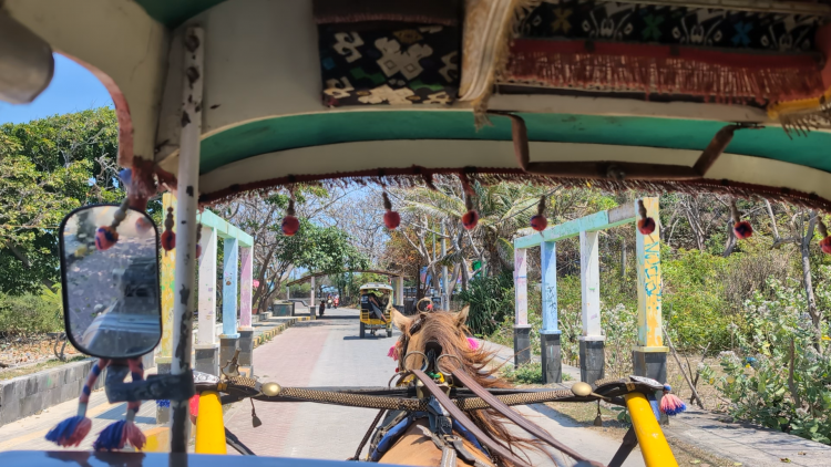 チドモ（馬車）に乗ってホテルへ移動