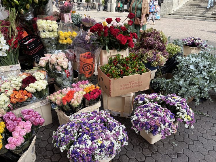 街中では沢山のお花をみつけました♪