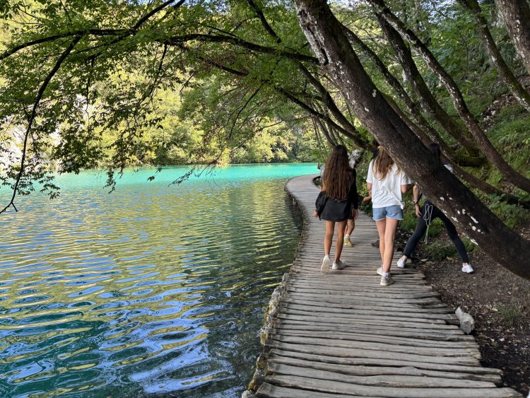公園内の散策コース