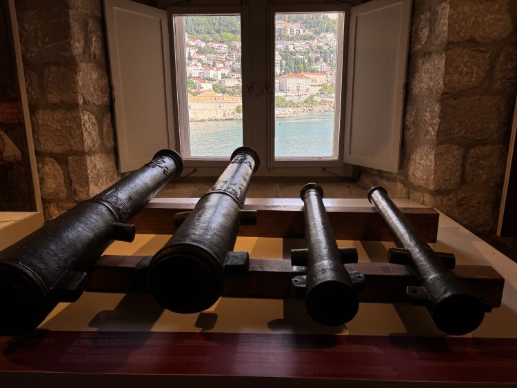 海洋博物館からみた景色