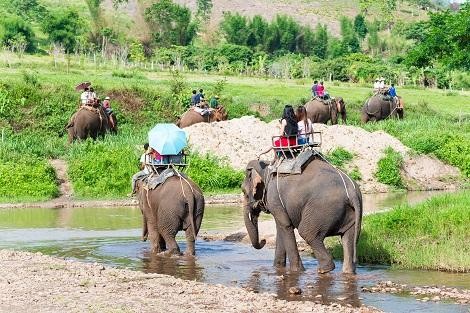 エレファントキャンプ