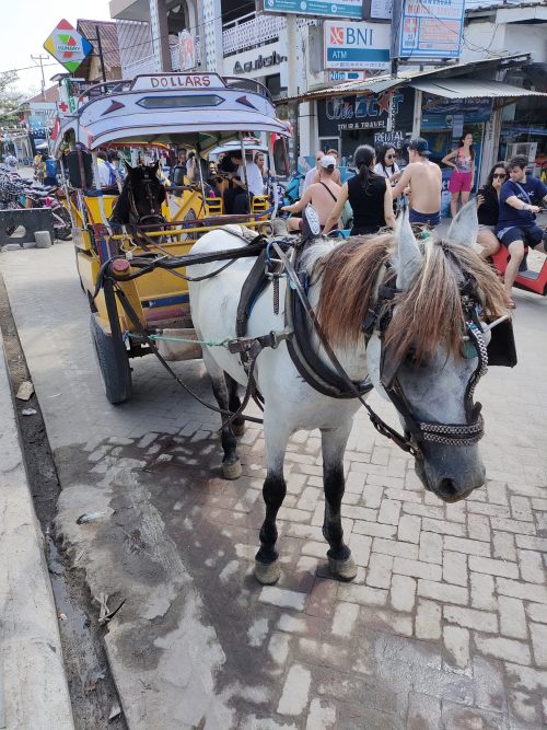 島では馬車も移動手段のひとつ