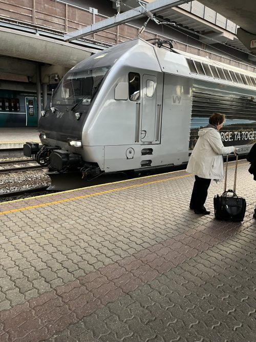 ナットシェル周遊の最初の列車オスロ中央駅にて