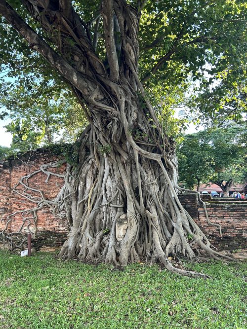 アユタヤ遺跡「ワット・マハタート」